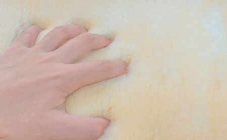 奈良 (株)マスダ製 ムートン フリース 2匹物 毛長28ｍｍ／ 羊毛皮 羊毛 スプリングラム 100％使用 天然素材 インテリア ラグ オールシーズン 通年 贈り物 プレゼント 誕生日 記念日 株式会社マスダ 奈良県 宇陀市 ふるさと納税