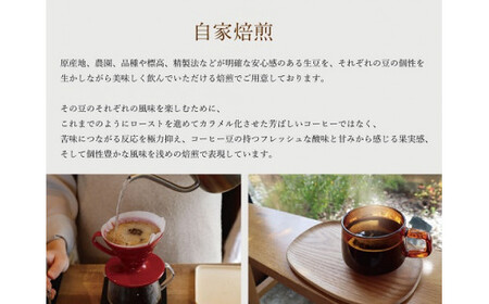 【1ヶ月ごとの定期便】 OTOMONI COFFEE 店主 お勧め 豆をお届け！２５０g×１袋「豆」OT7 コーヒー 珈琲 焙煎 自家焙煎 豆 粉 選べる COFFEE おすすめ くつろぎ おうち時間 定期便 M1640-0