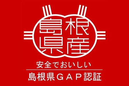 アスパラガス（約１ｋｇ）【季節限定 アスパラガス アスパラ 約1kg 20～40本 美味しまね認証 安心 安全 甘い とろける 初夏 野菜 初夏 塩ゆで 肉巻き おかず 期間限定 5月～9月上旬発送】