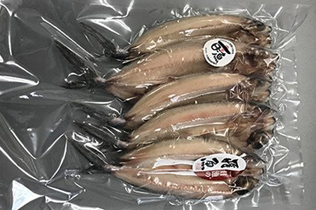 【訳あり】魚の干物おまかせ詰合せセット（のどぐろ入り） 【干物 4～5種 ランダム お楽しみ 島根県産 大田市 魚介類 のどぐろ 白いか アジ カレイ 無添加 天日塩 減塩仕立て 冷凍】