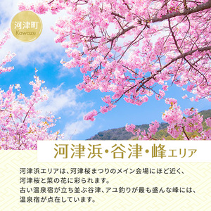 宿泊券 たっぷり河津旅 8,000円分 宿泊補助券 ホテル 旅館 温泉宿 高級宿 旅行券