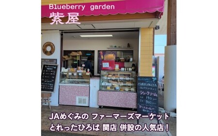 農薬不使用の自然農園 紫屋の【ブルーベリージュース】 12本 （720ml）