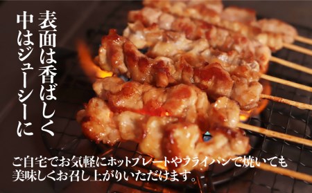 飛騨地鶏 焼鳥20本セット 焼鳥 [Q2621]