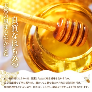 純粋はちみつ（あかしあ）600g《令和8年7頃より発送予定》【0106301】