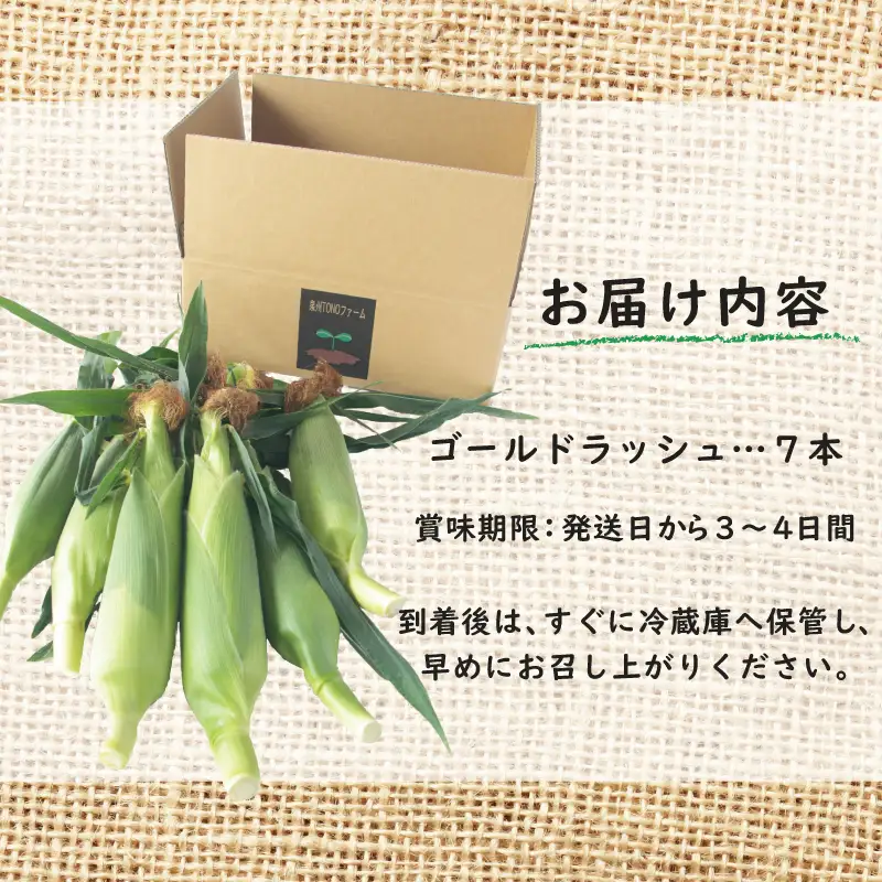 【先行予約】ゴールドラッシュ 7本