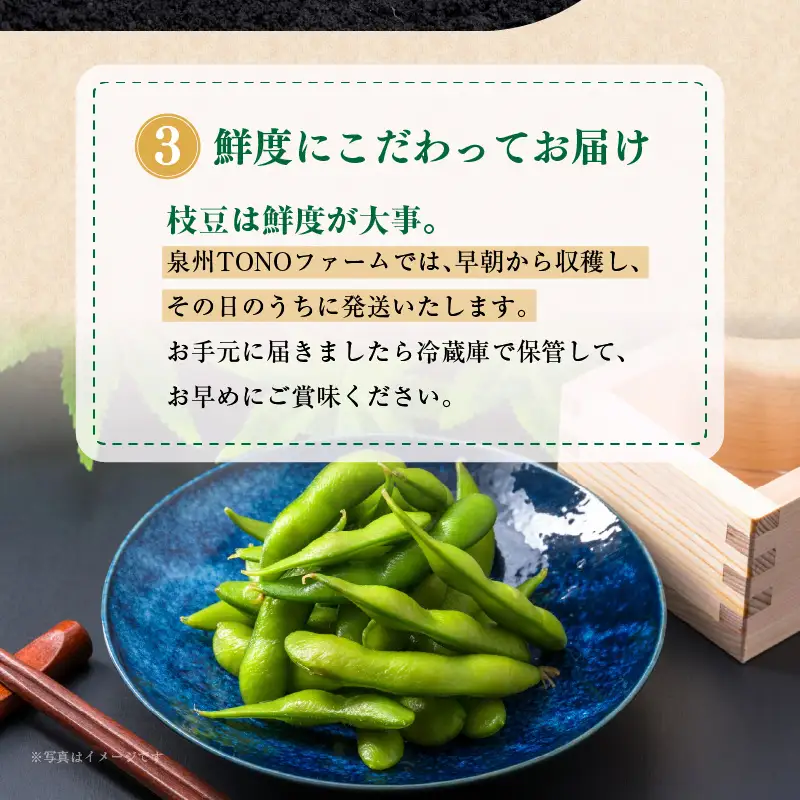 【畑から直送 朝採り】黒枝豆 1.8kg 