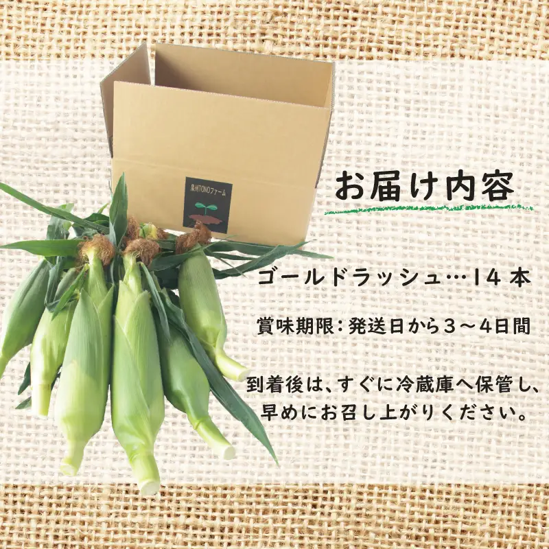 【先行予約】ゴールドラッシュ 14本