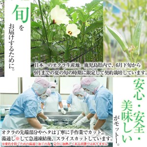 【定期便・全3回】【数量限定】鹿児島県産 冷凍オクラスライス計2.7kg(150g×6袋×3ヶ月) オクラ 野菜 冷凍 カット カット野菜 国産 定期便 頒布会 簡単 手軽 サラダ 味噌汁 スープ t0030-031