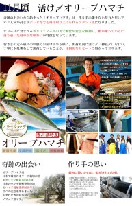 【定期便】瀬戸内海鮮「旬」お届けセット（1年で5回のお届けとなります）【G-1】