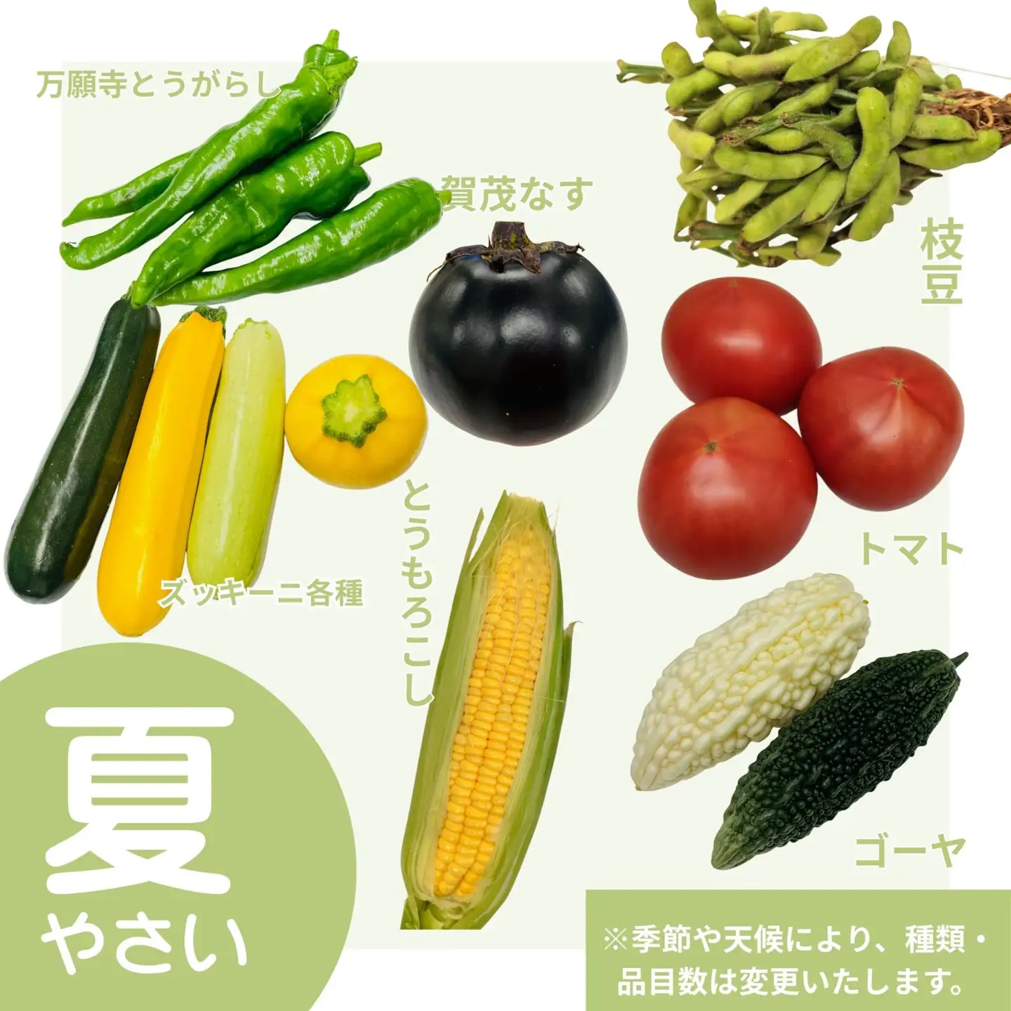 【じねんと市場】京野菜セット［6,000円コース］［ 京都 伏見 直売所 伏見直送 京野菜 野菜 新鮮 旬 人気 おすすめ 美味しい 人気 お取り寄せ 通販 送料無料 ふるさと納税 ］