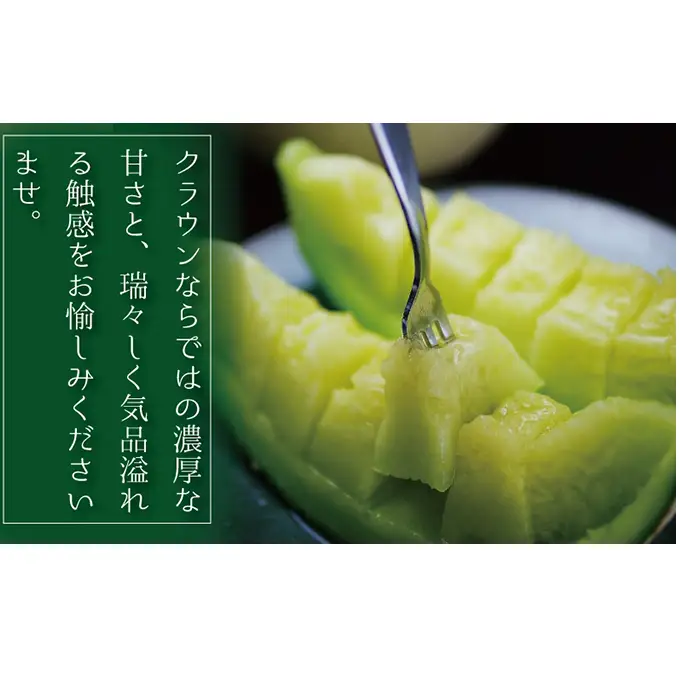 【6ヶ月定期便】クラウンメロン（白等級）特大玉　1玉入 果物類 メロン青肉 