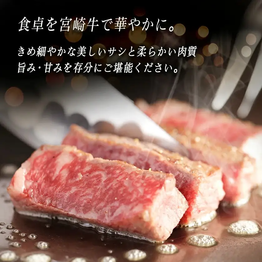 宮崎牛ヒレ・サーロインステーキ640g〔AD-2504〕_(都城市) 牛肉 ブランド牛 ヒレステーキ(120g×2枚) サーロインステーキ(200g×2枚) ソース・塩コショウ付 真空パック 希少部位