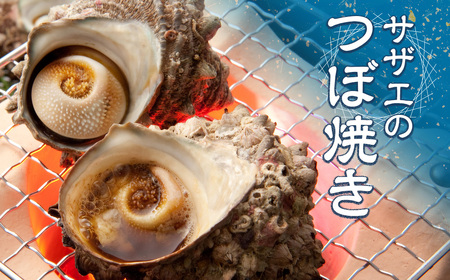 活きサザエ Aコース 1kg（8～12ヶ入り）山金商店 サザエ