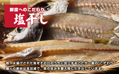 干物 おつまみ セット 6種 干物