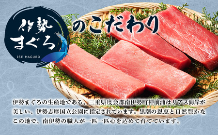 【 冷凍 】本マグロ 赤身 トロ身 約700g ブルーフィン三重 【 本鮪 】