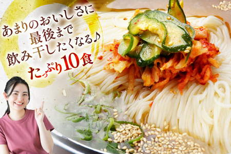 冷麺 りんご苑の冷麺 スープ付 10食 [りんご苑 山形県 高畠町 tk06ays660000]