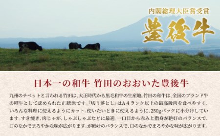 【定期便】おおいた豊後牛  切り落とし 500g×4ヶ月 計2kg
