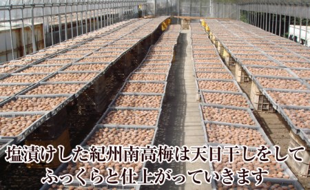 【0605-3】お徳用紀州南高梅しそ漬つぶれ(塩分約15％)
