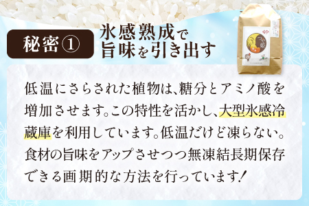 【定期便】氷感熟成「つや姫」定期便(5kg×5回お届け) 【米 定期便 つや姫 お米 5kg 定期 5回 特別栽培米 5kg×5回 合計25kg 島根県産 大田市産 こめ おこめ 氷感熟成 減農薬】