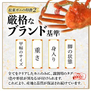 【魚倉】 足１本なしボイル松葉ガニ（並500g） かに ズワイガニ