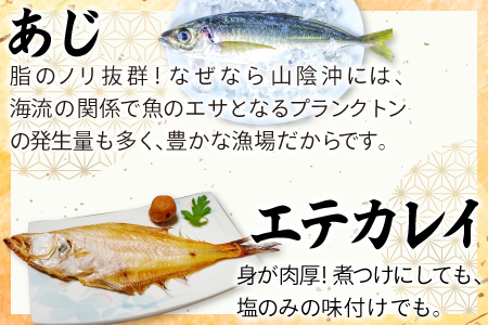 定番の干物５種詰合せセット【干物セット 人気 ノドグロ アジ エテカレイ ハタハタ 白いか のどぐろ 鯵 鰈 鰰 白イカ 島根県産 島根県沖 一夜干し 干物 ひもの 魚 高級魚 贈答 ギフト お取り寄せグルメ お中元】