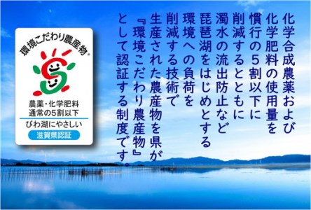 令和7年産 無洗米 白米 ミルキークイーン 10kg 【BN07W2】 近江米 環境こだわり米 滋賀県産 単一原料米