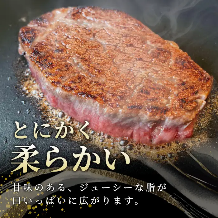  国産黒毛和牛 希少部位 ヒレステーキ 2枚（100ｇ×2枚）根羽こだわり和牛 ヒレ ステーキ 赤身 牛肉 和牛 15000円