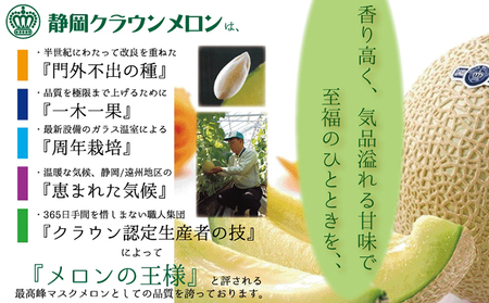 【定期便】クラウンメロン　アイススティック10本入（6か月連続お届け） 果物類 メロン青肉 シャーベット 6ヶ月 6回 