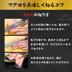 本マグロ 本鮪 大トロ200g マグロ まぐろ 本まぐろ マグロ刺身 刺身 刺し身 魚 海鮮 冷凍 美味しい おいしい 故郷納税 ふるさとのうぜい 返礼品 高知県 高知【株式会社大熊】 [BQAA040]