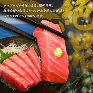 本マグロ 本鮪 中トロ200g トロ マグロ まぐろ 本まぐろ 刺身 刺し身 魚 海鮮 冷凍 美味しい おいしい 故郷納税 ふるさとのうぜい 返礼品 高知県 高知【株式会社大熊】 [BQAA036]