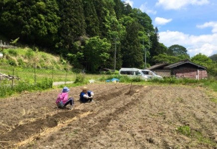 栄養満点！雑穀 たかきび・もちきび 各200g