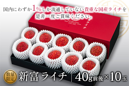 ［2026年発送］先行予約 希少！国産＜新富ライチ＞40g前後×10玉 国産 ブランド フルーツ 果物 贈答品【B120-26】