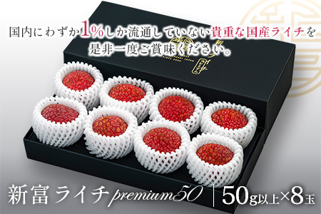 ［2026年発送］先行予約 希少！国産＜新富ライチpremium50＞50g以上×8玉 国産 ブランド フルーツ 果物 贈答品【C52-26】