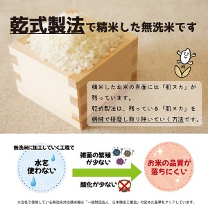 SI0066　【6回定期便】無洗米はえぬき　5kg×6回(計30kg)　農家直送『いいあん米』AG