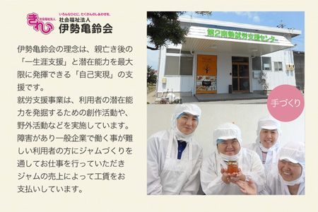 わくわくジャム 定期便 果実 ジャム 季節のフルーツ 無添加 瓶 ビン 詰め合わせ 毎月 おすすめ 手作り てづくり 国産 三重県産 ソース パン ステーキ お肉 甘い こだわり 旬 季節 限定 Y1