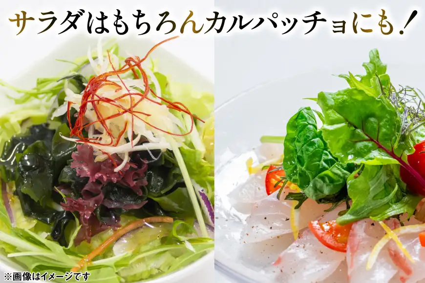 【ZIP！で紹介されました】気仙沼 完熟牡蠣のドレッシング150ml×1個 [石渡商店 宮城県 気仙沼市 20563410]