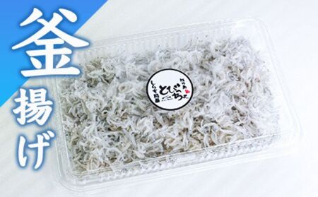 釜揚げ しらす 約 1kg（ 260g ×4）【 とびっちょ しらす 】