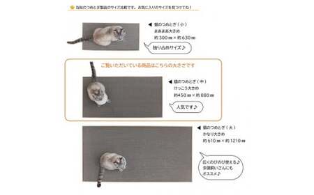 猫のつめとぎ（中）【けっこう】おおきめサイズで2枚入り! F4N-1282