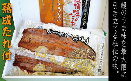 浜名湖うなぎ長蒲焼　2枚入【配送不可：離島】 鰻 ウナギ たれ 