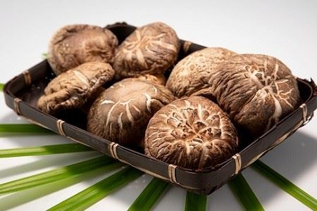 乾燥シイタケ詰め合わせ 原木栽培 天然 しいたけ 京都 京丹波町産 椎茸 [010TS001]