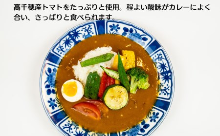 高千穂の食材カレーセット カレー トマトカレー キーマカレー ヘルシー レトルト レトルトカレー カレーライス 簡単調理 惣菜 お惣菜 おかず グルメ お取り寄せ お取り寄せグルメ おすすめ 贈答 贈り物 ギフト 宮崎県 高千穂町 _Tk005-097