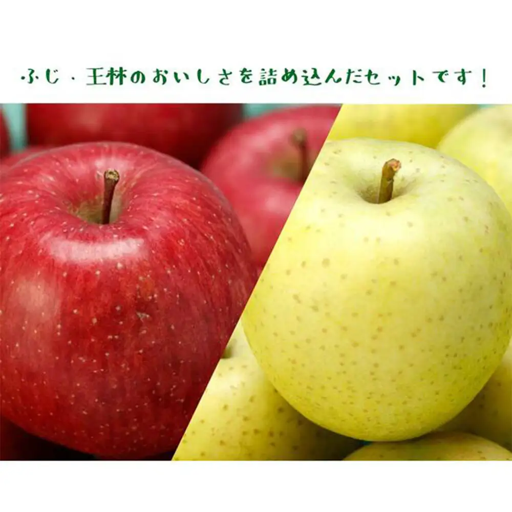 【26年11月～発送】りんご（サンふじ ・ 王林 各3玉）と無添加りんごジュース（1L×2本）詰め合わせ JA相馬村
