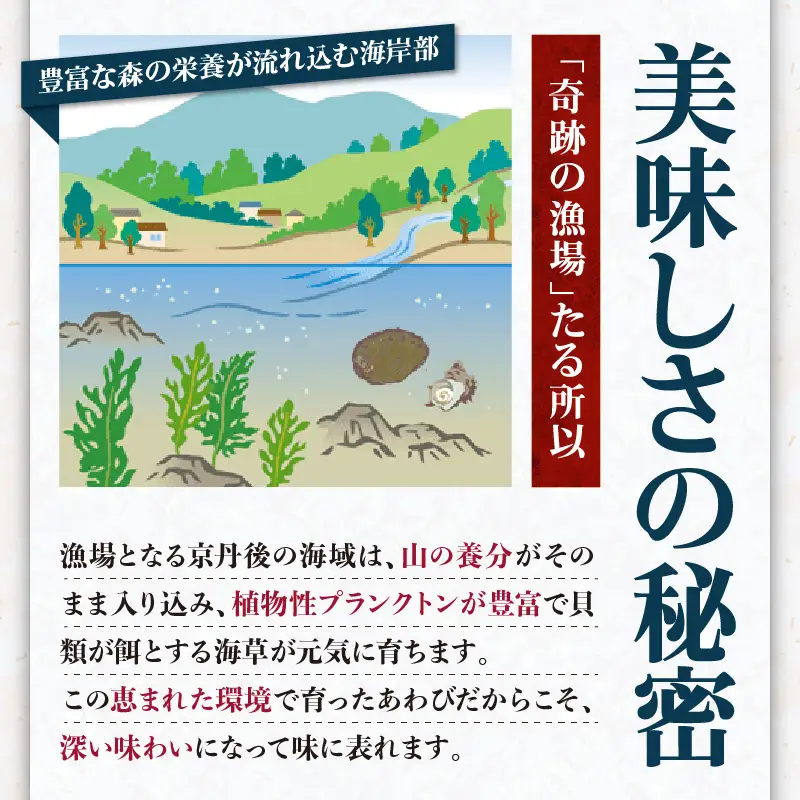 天然黒あわび合計1kg！活けあわび｜鮑
