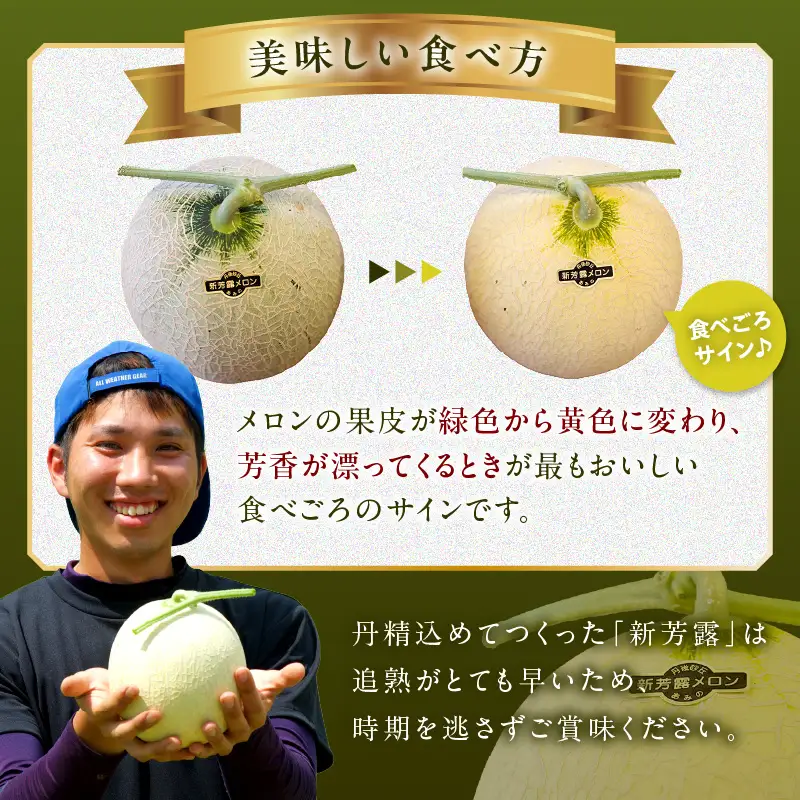 幻のメロン 新芳露 1玉 京丹後産メロン