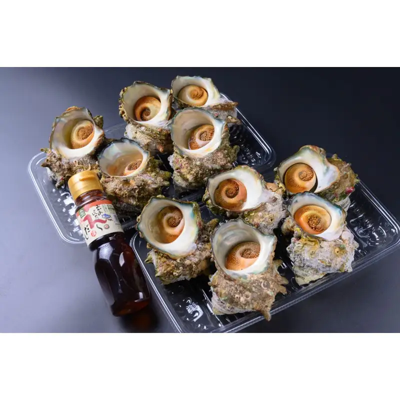 天然サザエボイル1.6㎏ 大サイズサザエ万能ダシ付き