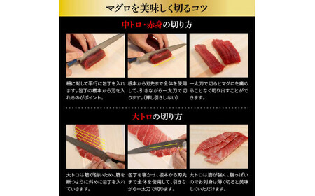 本マグロ 本鮪 大トロ・中トロ 各500g・赤身200g まぐろ3種盛セット まぐろ マグロ 赤身 刺身 マグロ丼 海鮮丼 魚 海鮮 魚介 おかず 冷凍 配送【株式会社大熊】 [BQAA038]