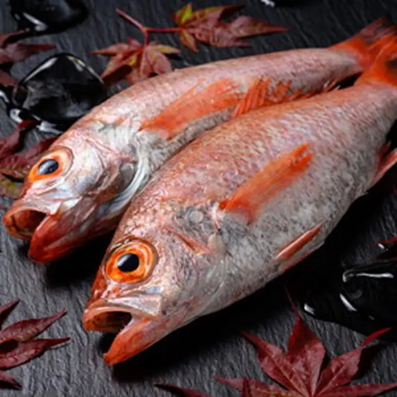 【先行予約】【海鮮の匠　魚政】のどぐろ一夜干し（ノドグロ、のど黒、アカムツ）350g級使用 3尾セット