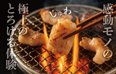 松阪牛 ホルモン ・ 松阪牛 焼肉 セット 900g 肉 牛 牛肉 和牛 ブランド牛 高級 国産 霜降り 冷凍 ふるさと 人気 焼肉用 BBQ バーベキュー モモ モモ肉 バラ バラ肉 K3