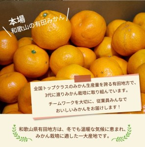 コク旨☆完熟有田みかん　10キロ こだわりの完熟 有田みかん 10kg＋150g(傷み補償分)｜ みかん | 和歌山