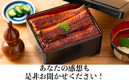 温泉うなぎ蒲焼 2尾（160gサイズ） 国産 九州 うな丼 うな重 鰻 完全無投薬 ギフト 土用の丑の日 ＜104-011＞